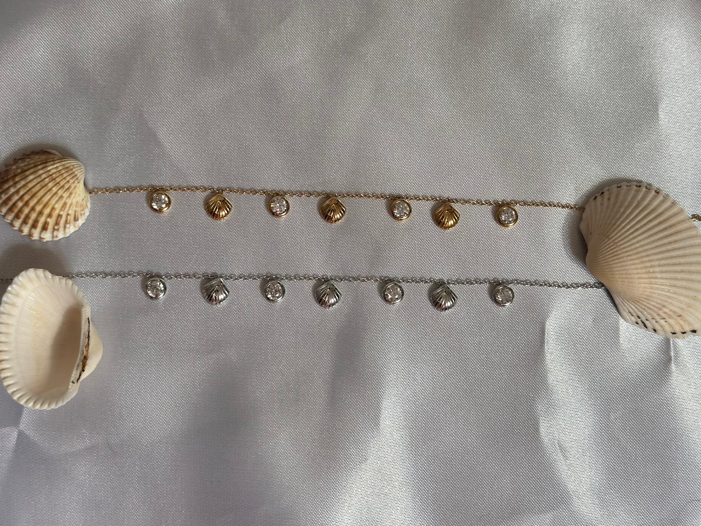 Cavigliera Shell