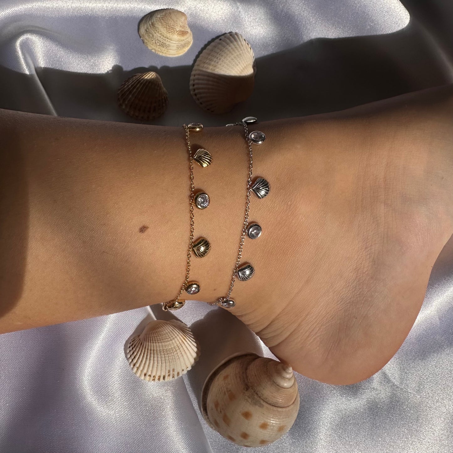 Cavigliera Shell